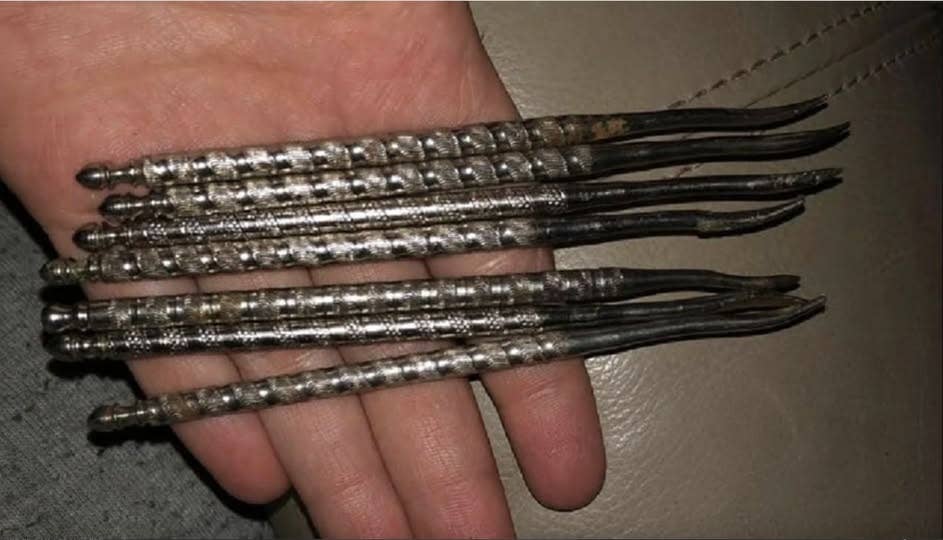 Nutpick Strange Looking Tool Has Internet Stumped Over What It Actually Is ...