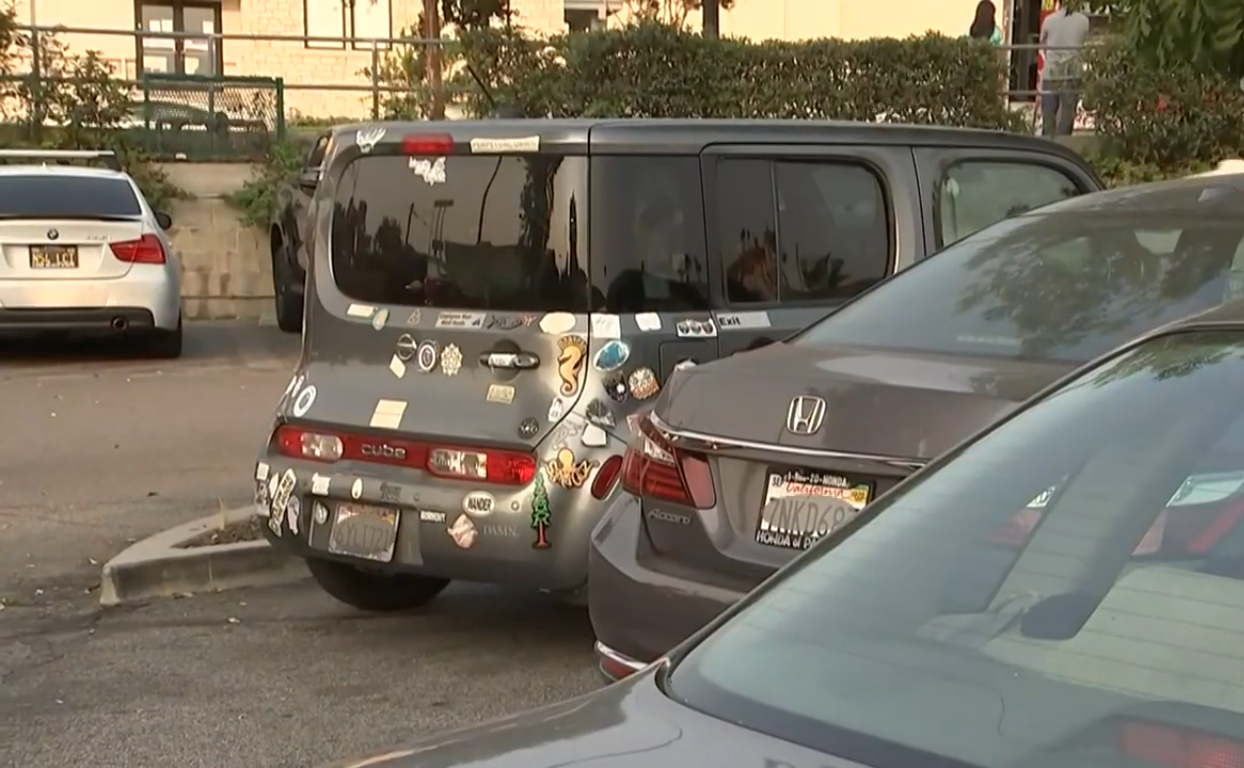 A car covered in numerous bumper stickers and decals across its rear panel and bumper, Photo Credit: WSAV3/Youtube