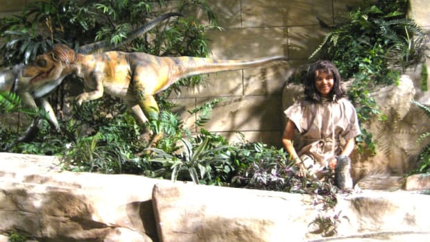Public Schools Go On Field Trips To Creation Museum Promo Image