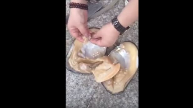 Woman Finds Hidden Treasure Inside A Clam (Video) Promo Image