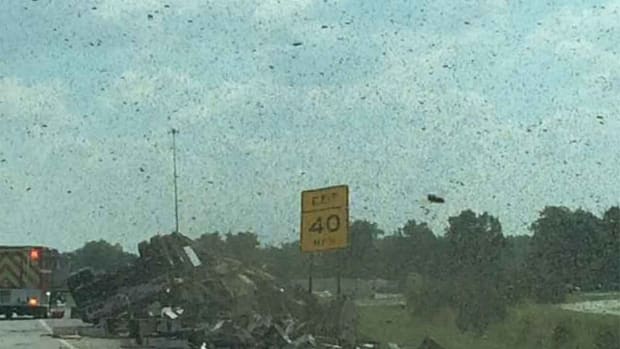 Bees On Interstate 35