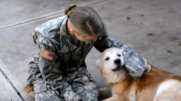 Dog Cries When Owner Returns From The Army (Video)  Promo Image