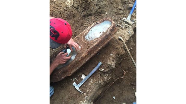 Women Seek Clues About Girl Buried 145 Years Ago Promo Image
