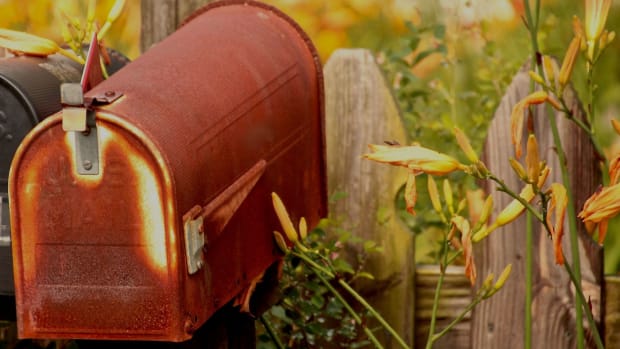 Woman Leaves Strange Note For Mailman (Photo) Promo Image
