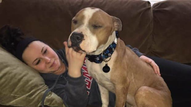 Happy Rescue Dog Can't Stop Cuddling With New Owner (Video) Promo Image