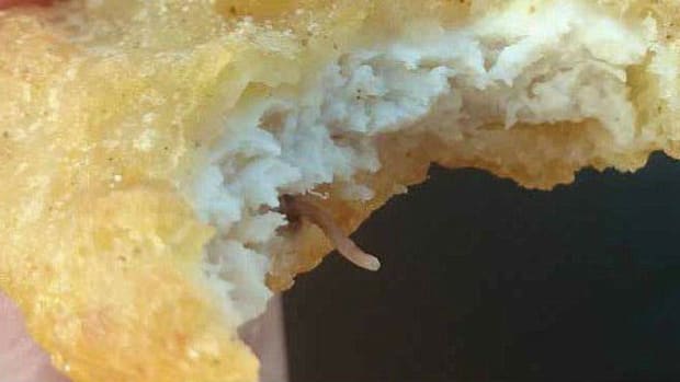 Child Nearly Eats McDonald's Burger With Worm (Photos) Promo Image