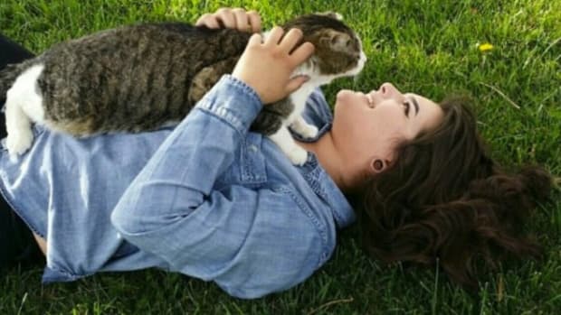 Young Woman Killed While Trying To Save Injured Kitten  Promo Image