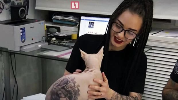 Tattoo Artist Draws Criticism For Inking Cat Promo Image