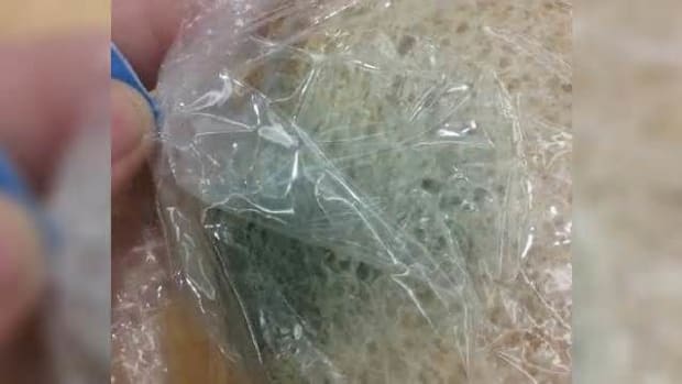 Student Forgets Lunch Money, Gets Moldy Sandwich (Photo) Promo Image
