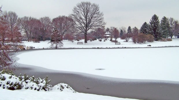 Man Dives Into Ice-Cold Pond To Save Dog (Video) Promo Image