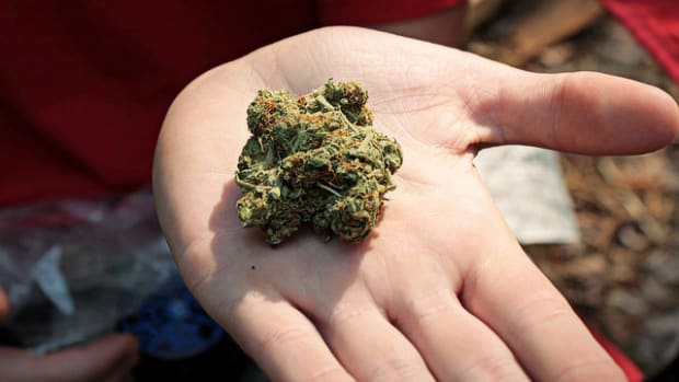Federal Court Tells DOJ To Respect State Marijuana Laws Promo Image