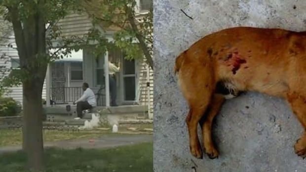 Teens Rob Home, Kill Dog, Then Get Particularly Nasty Surprise Promo Image
