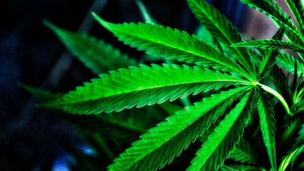 DEA Decides To Keep Marijuana On Same List As Heroin Promo Image
