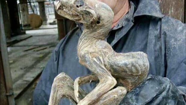 Mysterious 'Monster Mummy' Unearthed In Russia Promo Image