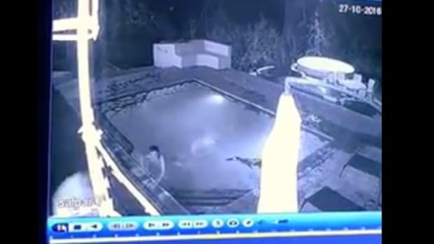 Crocodile Attacks Couple In Hotel Pool, Man Flees (Video) Promo Image