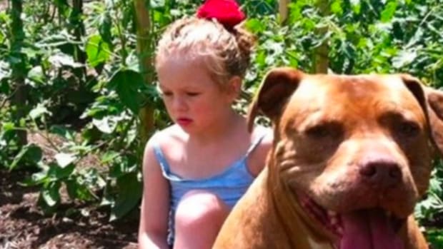 Girl With Autism Becomes Inseparable From Her Pit Bull (Video) Promo Image