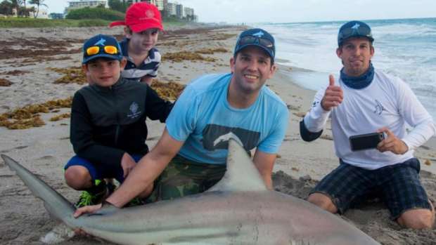 Video Of Donald Trump Jr. Sparks Controversy (Video) Promo Image