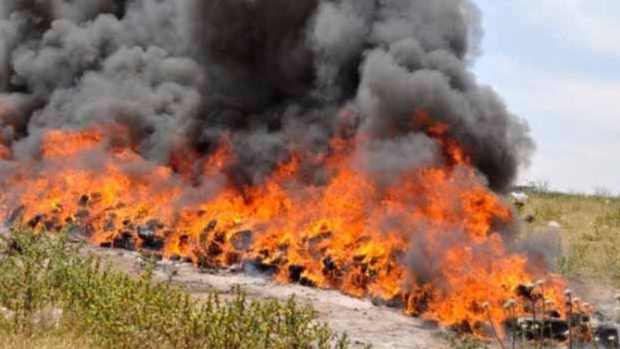 Officials Burn 3 Tons Of Cannabis, Quickly Realize They Didn't Think It All The Way Through (Photos) Promo Image