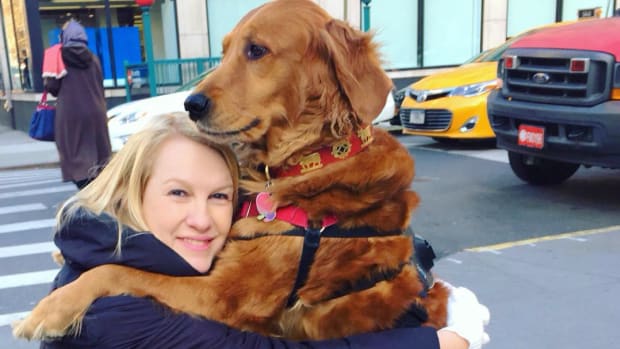 This Golden Retriever Loves To Hug People (Photos) Promo Image