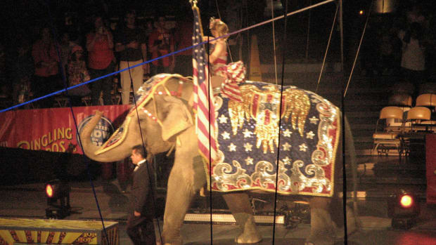 Ringling Bros. Circus Prepares For Final Performance Promo Image