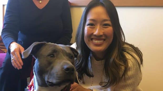 San Francisco Law: No Puppy Mill Sales To Pet Stores Promo Image