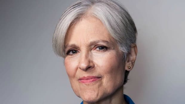 Michigan May Force Stein To Foot Recount's Total Cost Promo Image