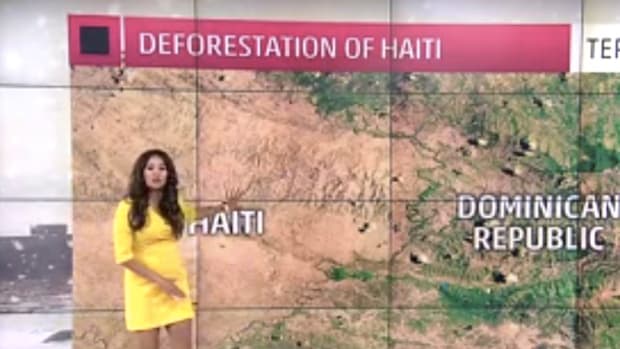 Meteorologist: Kids 'Eat The Trees' In Haiti (Video) Promo Image