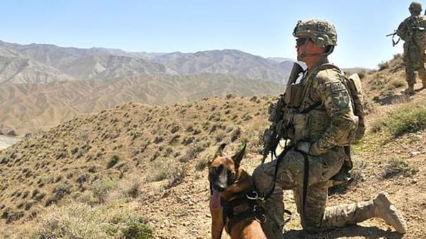 Soldier Adopts Dog Who Saved His Life (Video) Promo Image