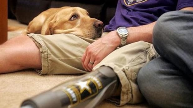 Service Dog Calms Veteran's PTSD Attack (Video) Promo Image