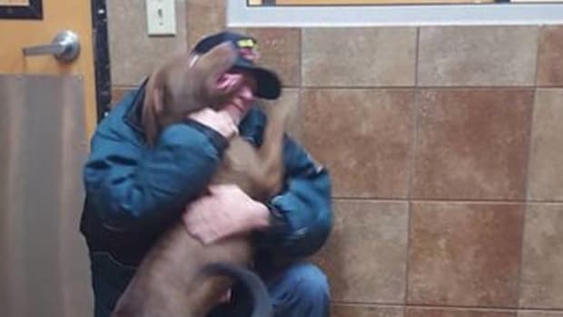 Veteran Saves Cash To Buy Dogs Back, Gets Shocking News Promo Image