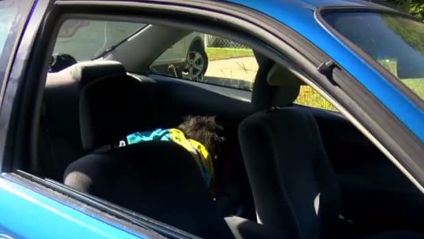 Cops Break Car Window To Save Wig, Won't Pay To Fix? (Video) Promo Image