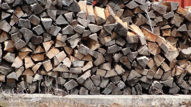 Police Use Checkpoints To Search For Illegal Firewood Promo Image