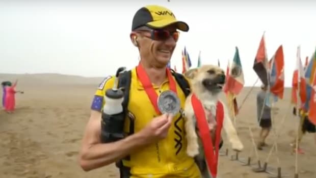 Runner To Adopt Dog That Followed Him 77 Miles (Video) Promo Image