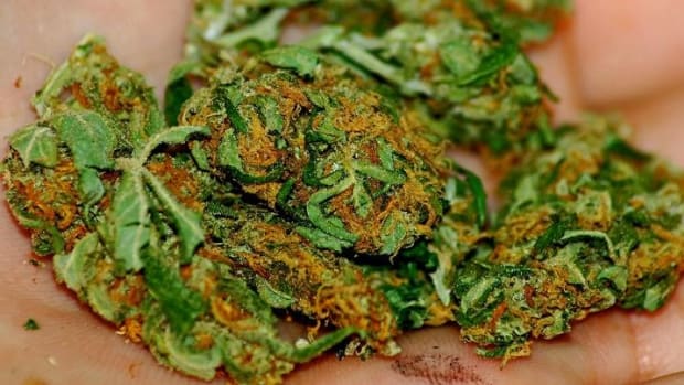 Marijuana Now Legal In Nevada Promo Image
