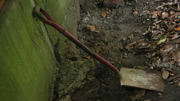 Dog Found Buried Alive Dies After Being Rescued (Photos) Promo Image