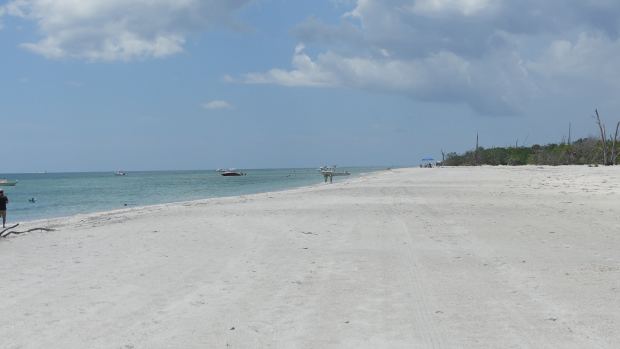 oral sex on beach - Opposing Views