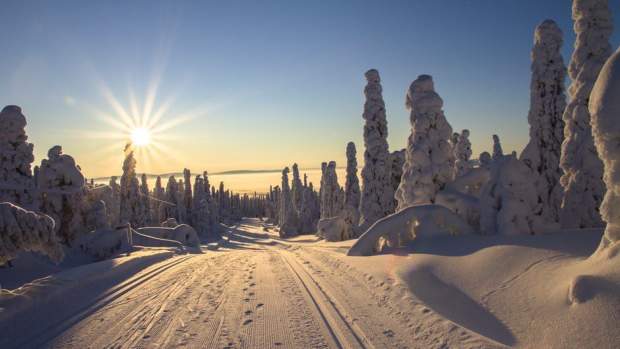 Man Kills Good Samaritan Helper Promo Image