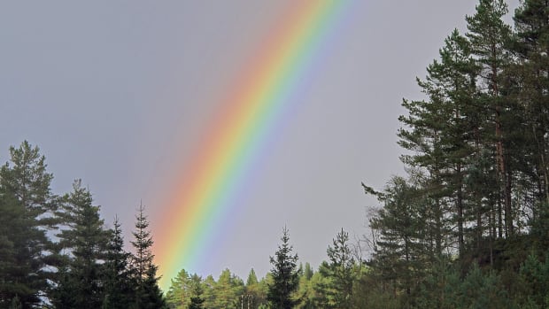 Kid With Autism Receives Thousands Of Rainbow Pictures Promo Image