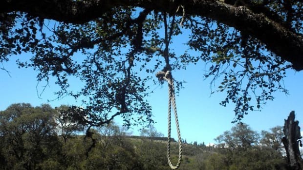 Boy, 8, Hospitalized After Teens Hang Him From A Tree (Photos) Promo Image