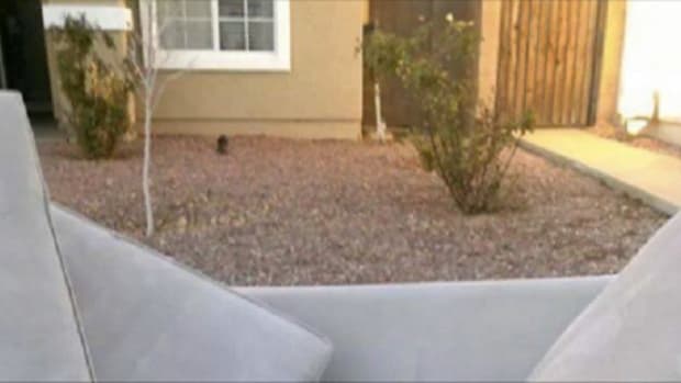 Neighbors Make Upsetting Discovery On Abandoned Couch After Family Moves Out (Photo) Promo Image