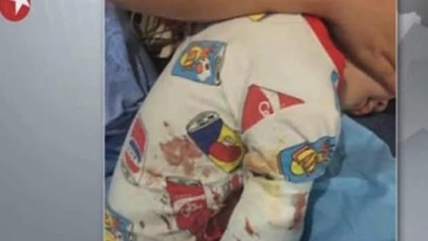 2-Year-Old Boy Falls Victim To Disturbing Zoo Accident Promo Image