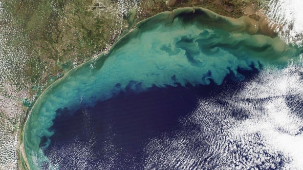 'Dead Zone' In Gulf Of Mexico Is The Largest Ever Promo Image
