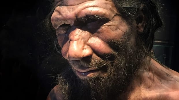 Neanderthals Died Out Later Than Previously Believed Promo Image