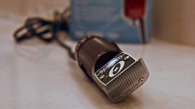 See How The 'World's Hairiest Girl' Looks After Shaving (Photos) Promo Image