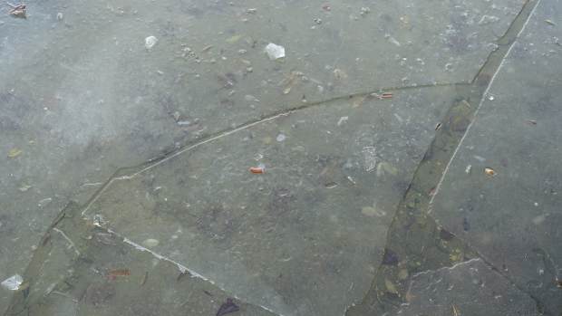 Officer Rescues Dog From Freezing Waters (Video) Promo Image