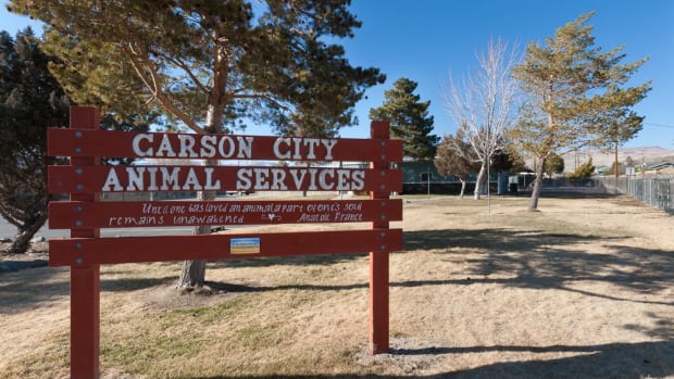 Carson City Animal Services