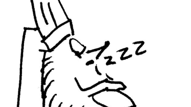 sleepingdrawing_featured.jpg