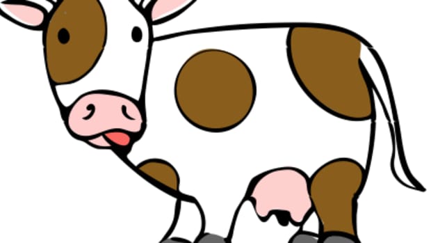 cow_featured.jpg