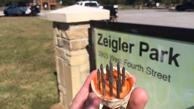 Dangerous Object Ziegler Park.