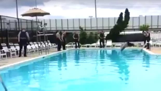 Citizen Saves Drowning Man While Cops Stand By (Video) Promo Image